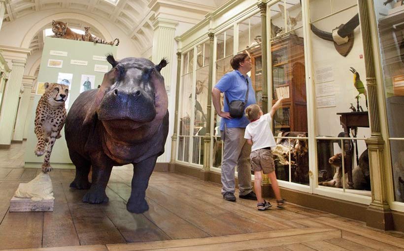 Musée histoires naturelles